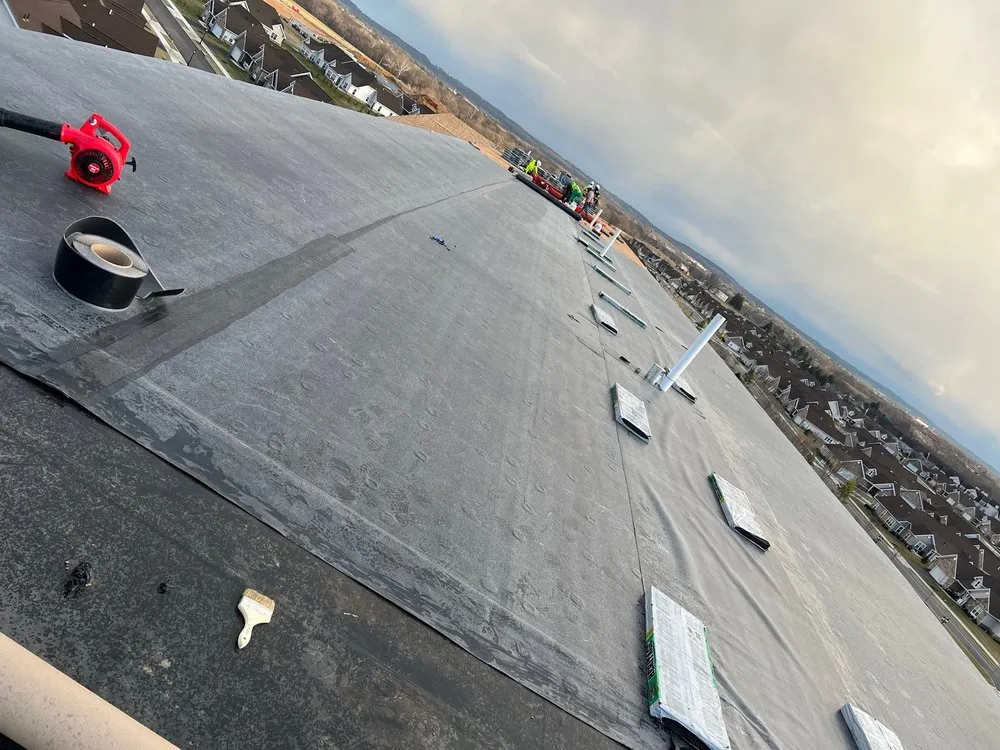 Slide of Rony & Son's