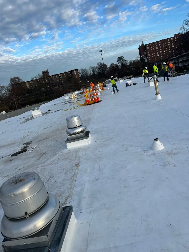 Slide of Rony & Son's