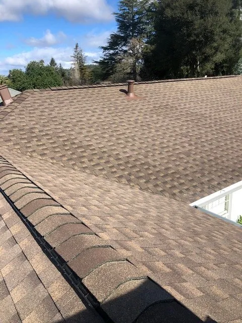 Slide of Roof & Gutter Busters