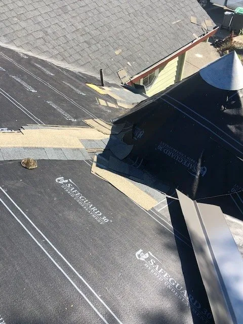 Slide of Roof & Gutter Busters