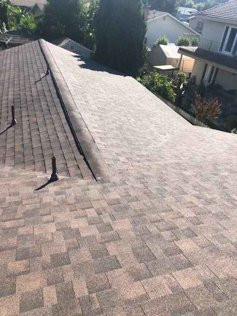 Slide of Roof & Gutter Busters