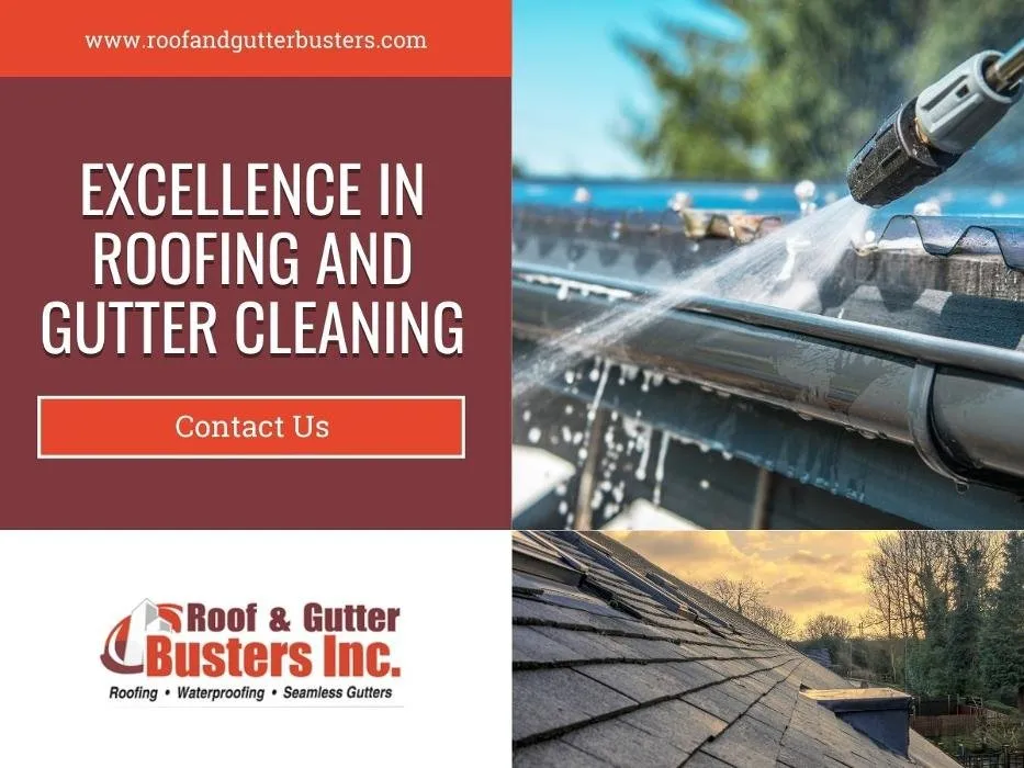 Slide of Roof & Gutter Busters