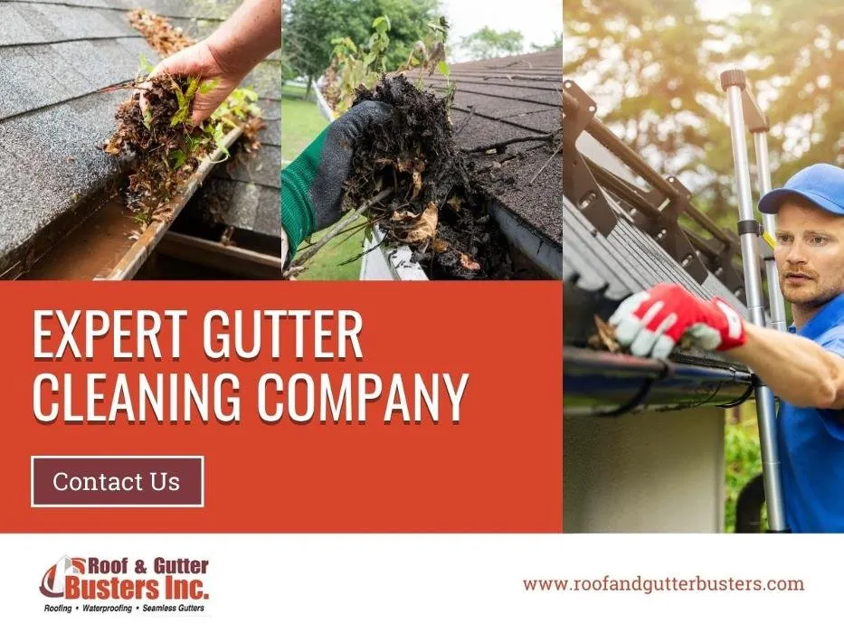 Slide of Roof & Gutter Busters