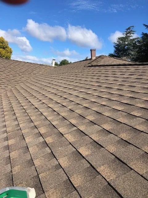 Slide of Roof & Gutter Busters