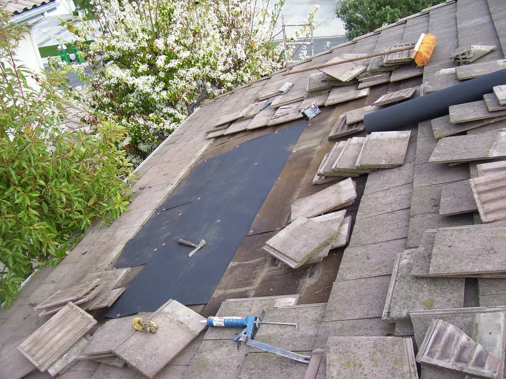 Slide of Roof Tile Repair Specialist