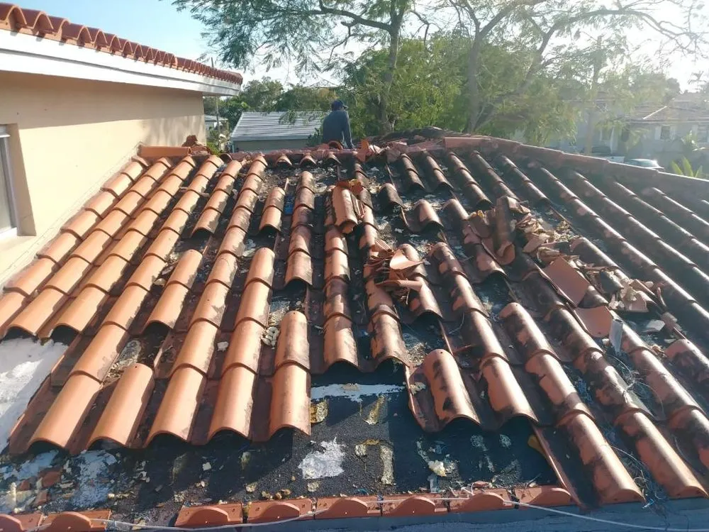 Slide of Roof 4 Less FL