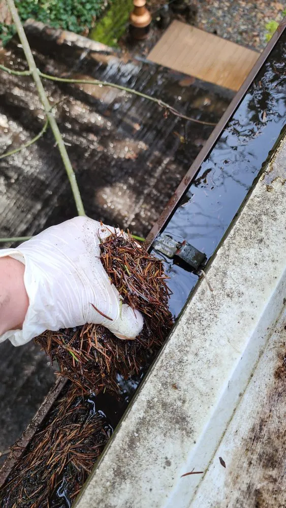 Slide of Roof and Gutter Cleaning Service
