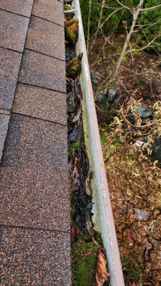 Slide of Roof and Gutter Cleaning Service