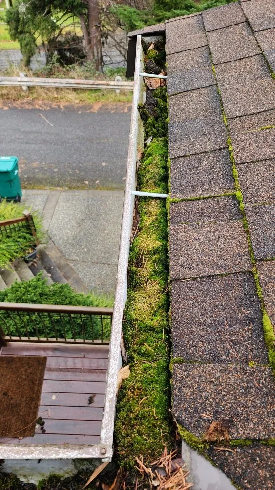 Slide of Roof and Gutter Cleaning Service