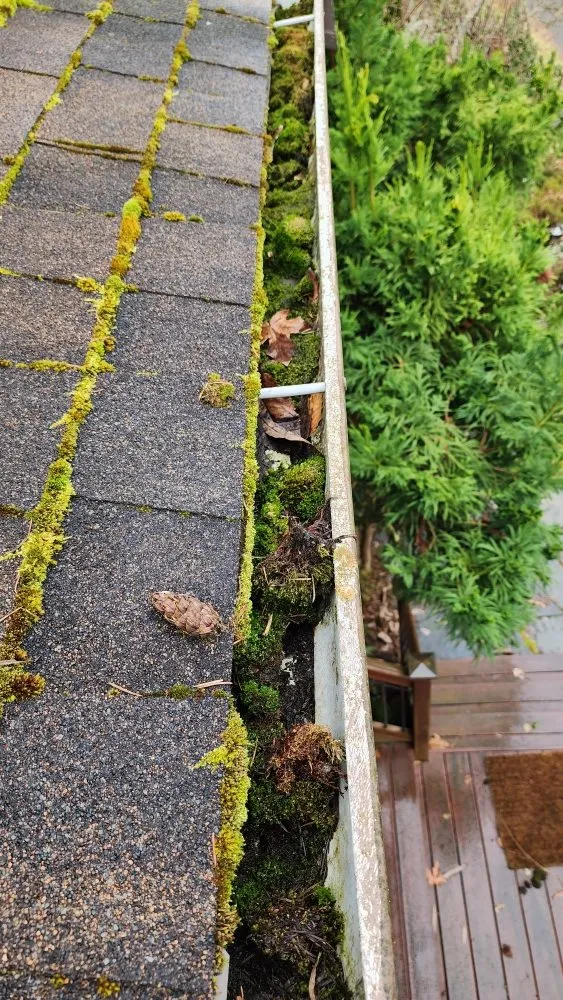 Slide of Roof and Gutter Cleaning Service