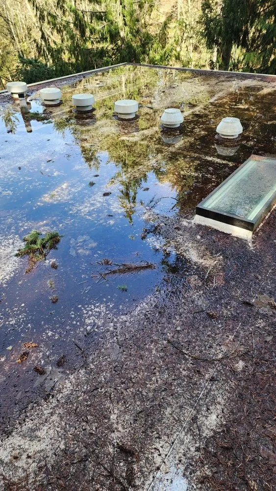 Slide of Roof and Gutter Cleaning Service