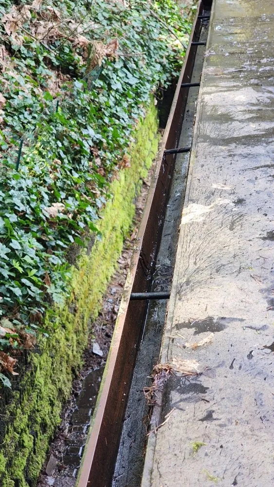 Slide of Roof and Gutter Cleaning Service