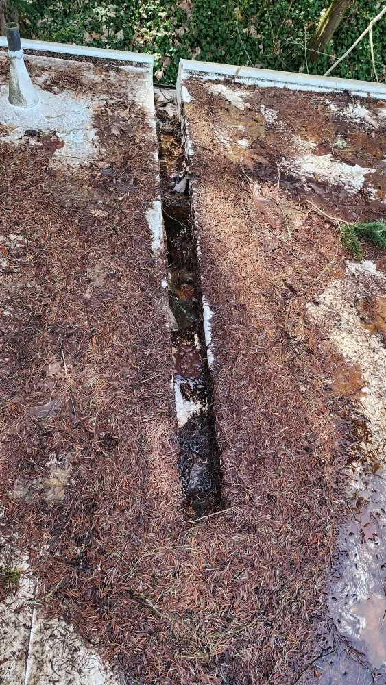 Slide of Roof and Gutter Cleaning Service