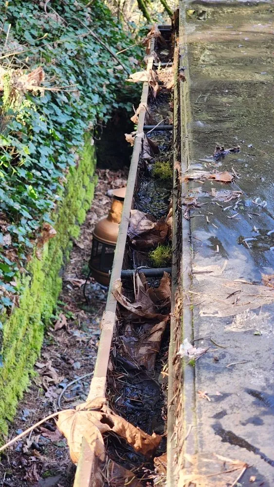 Slide of Roof and Gutter Cleaning Service