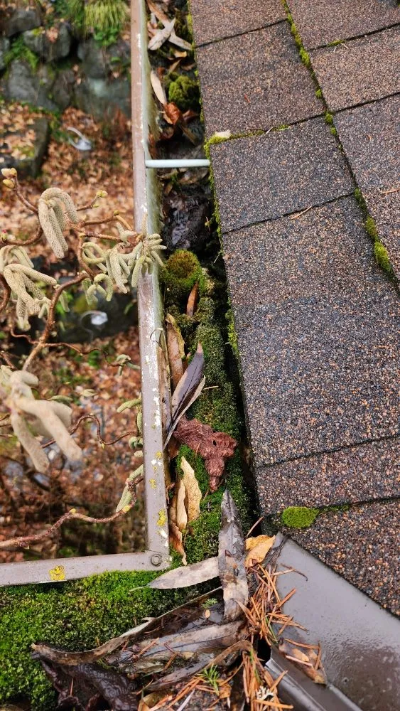 Slide of Roof and Gutter Cleaning Service