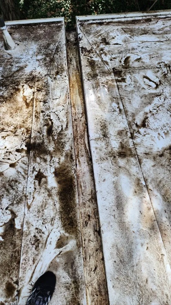 Slide of Roof and Gutter Cleaning Service