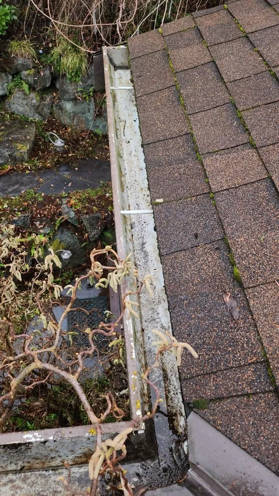 Slide of Roof and Gutter Cleaning Service