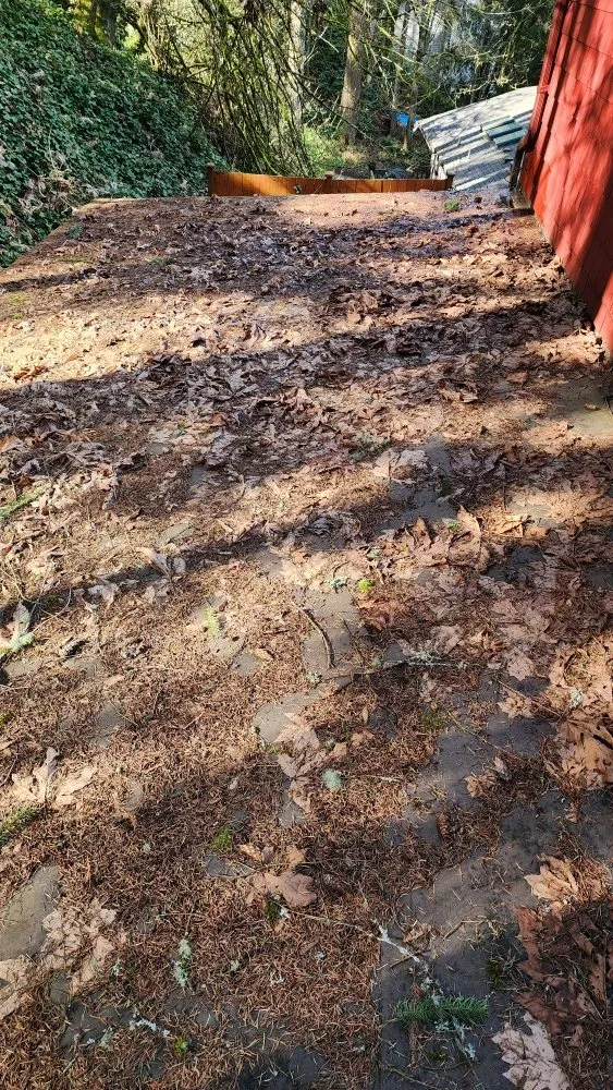 Slide of Roof and Gutter Cleaning Service