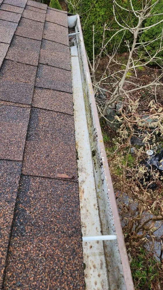 Slide of Roof and Gutter Cleaning Service