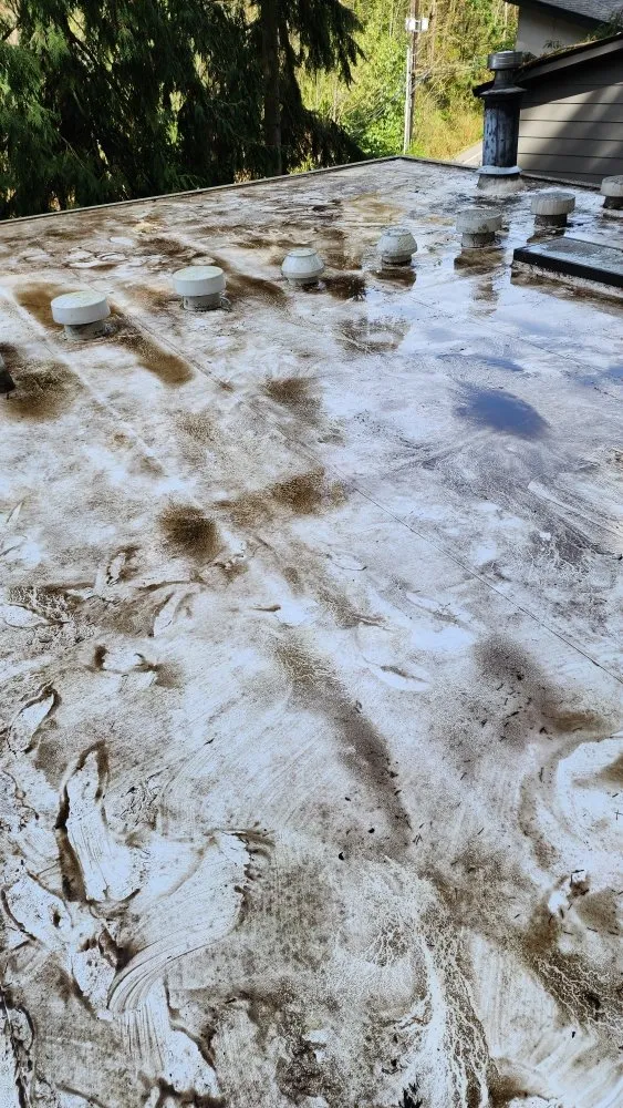 Slide of Roof and Gutter Cleaning Service