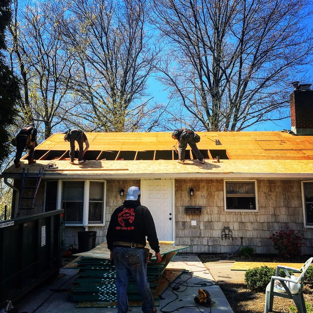 Slide of Roof Angels