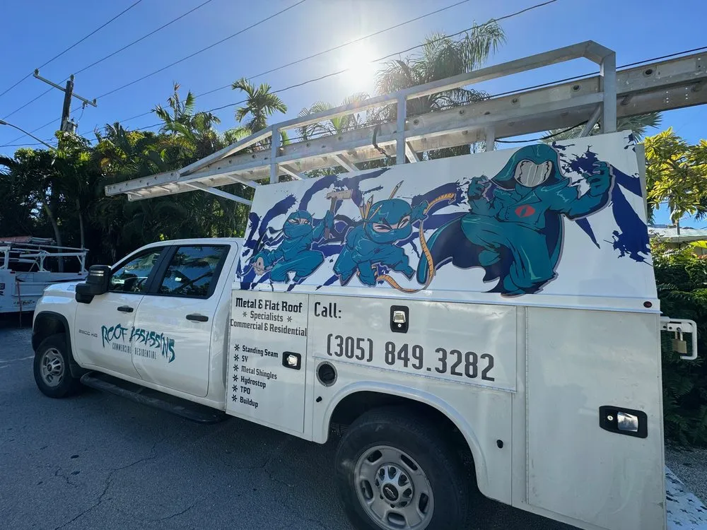 Slide of Roof Assassins