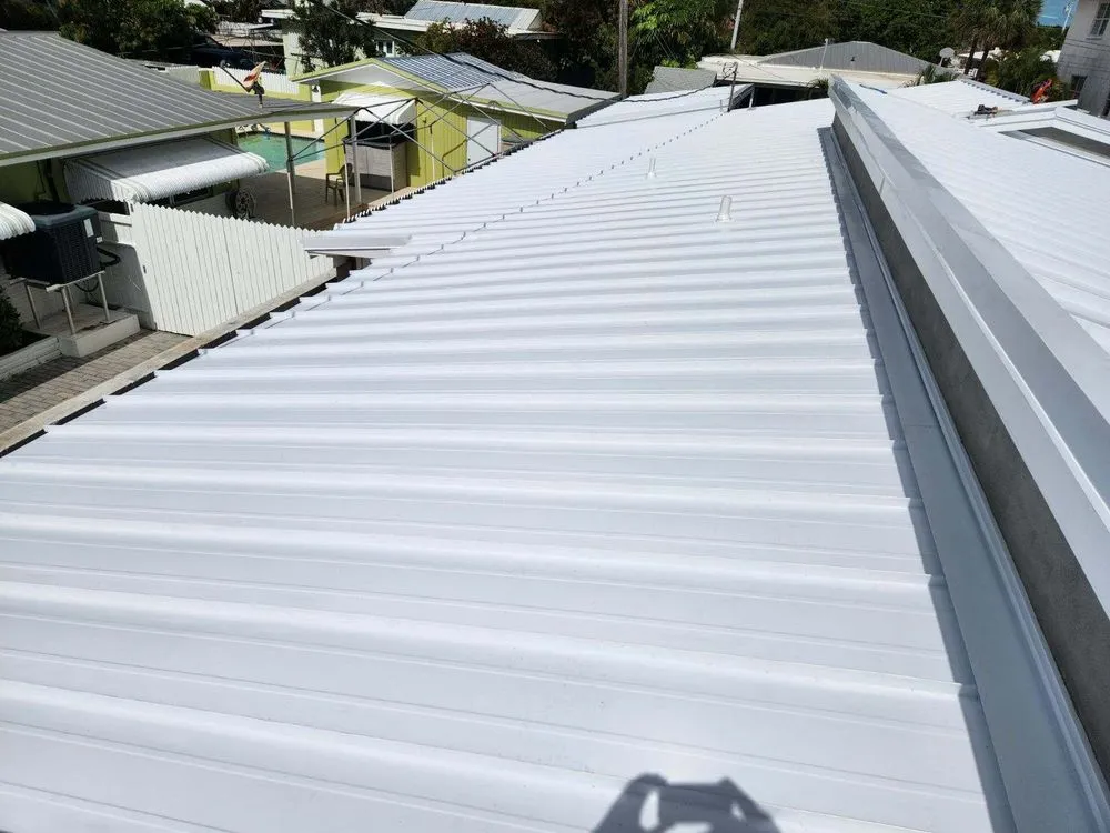 Slide of Roof Assassins