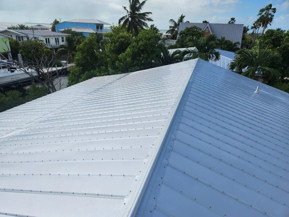 Slide of Roof Assassins