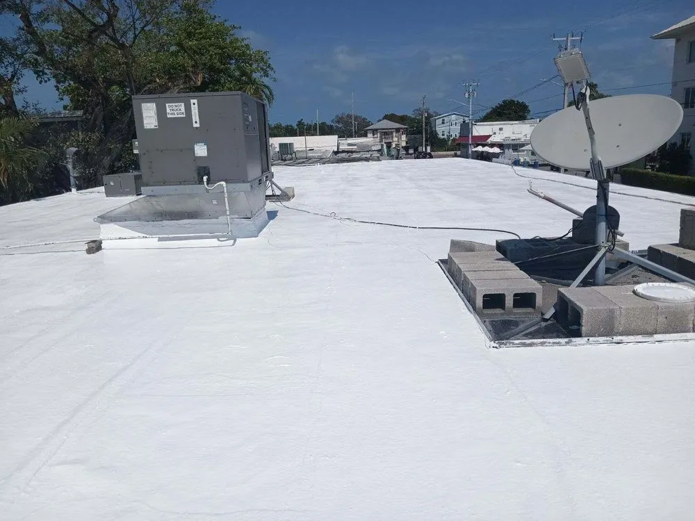 Slide of Roof Assassins