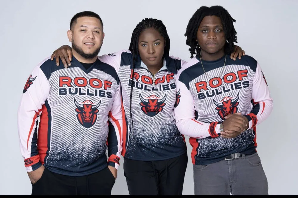 Slide of Roof Bullies