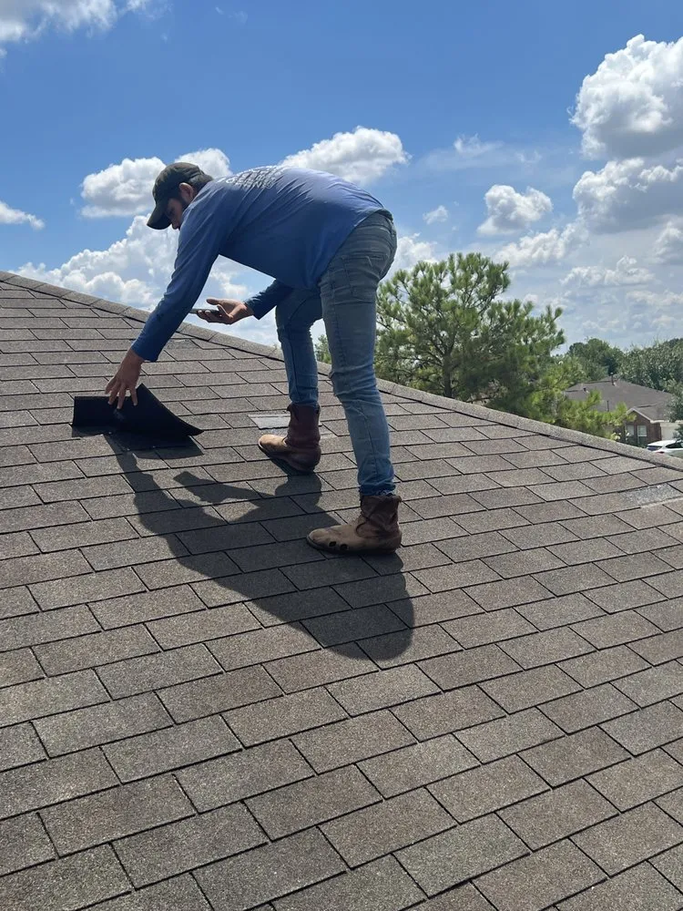 Slide of Roof Bullies