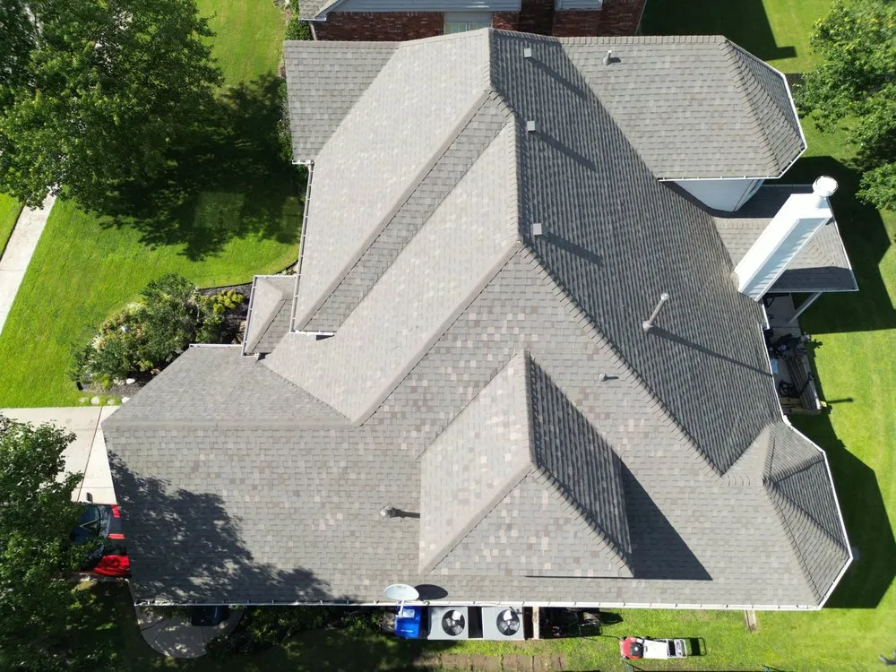 Slide of Roof Bullies