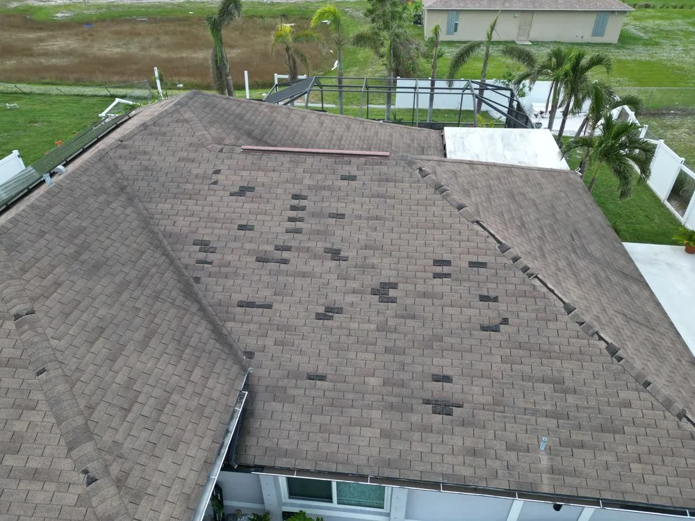 Slide of Roof Bullies