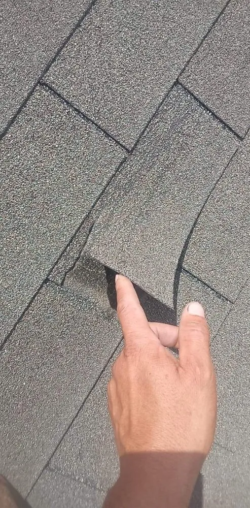 Slide of Roof Bullies