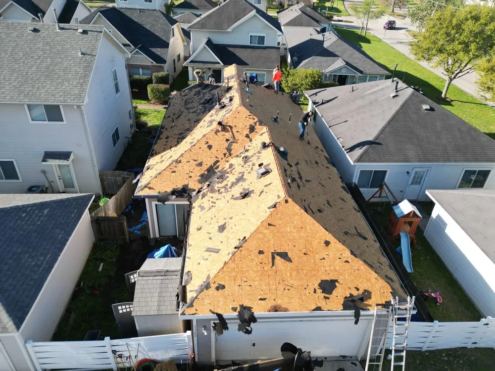 Slide of Roof Bullies