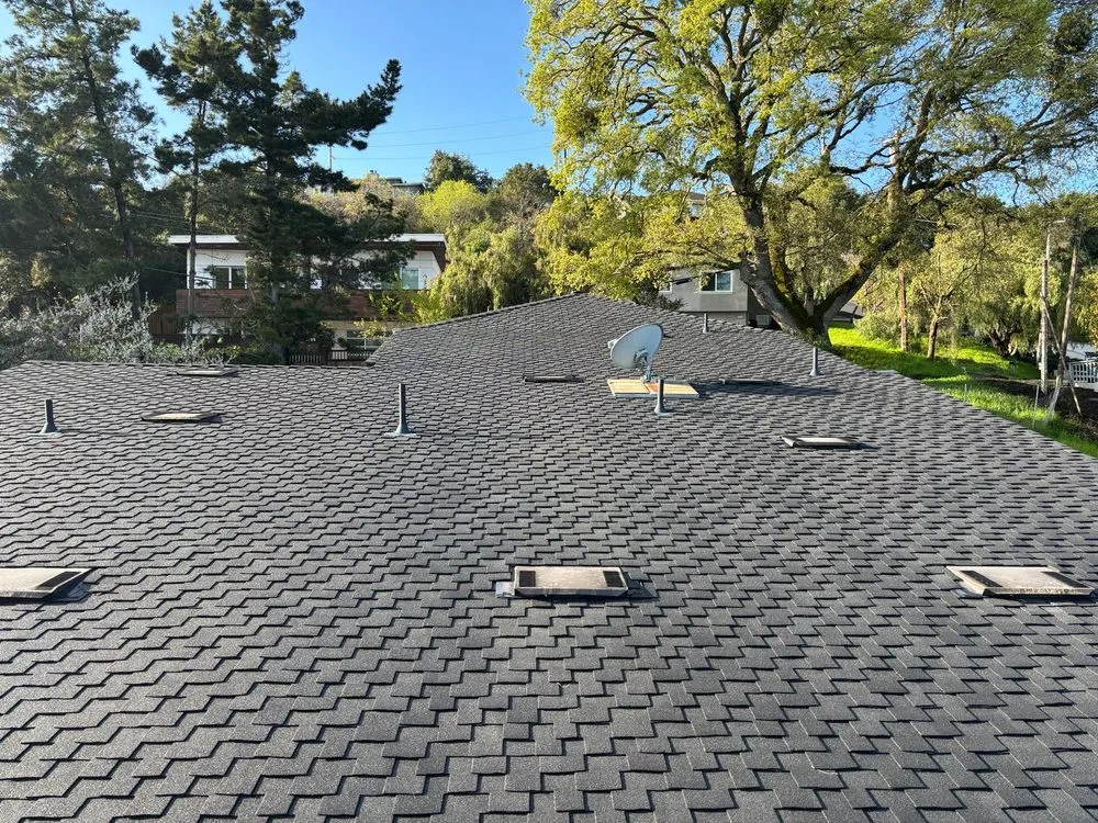 Slide of Roof by Tom