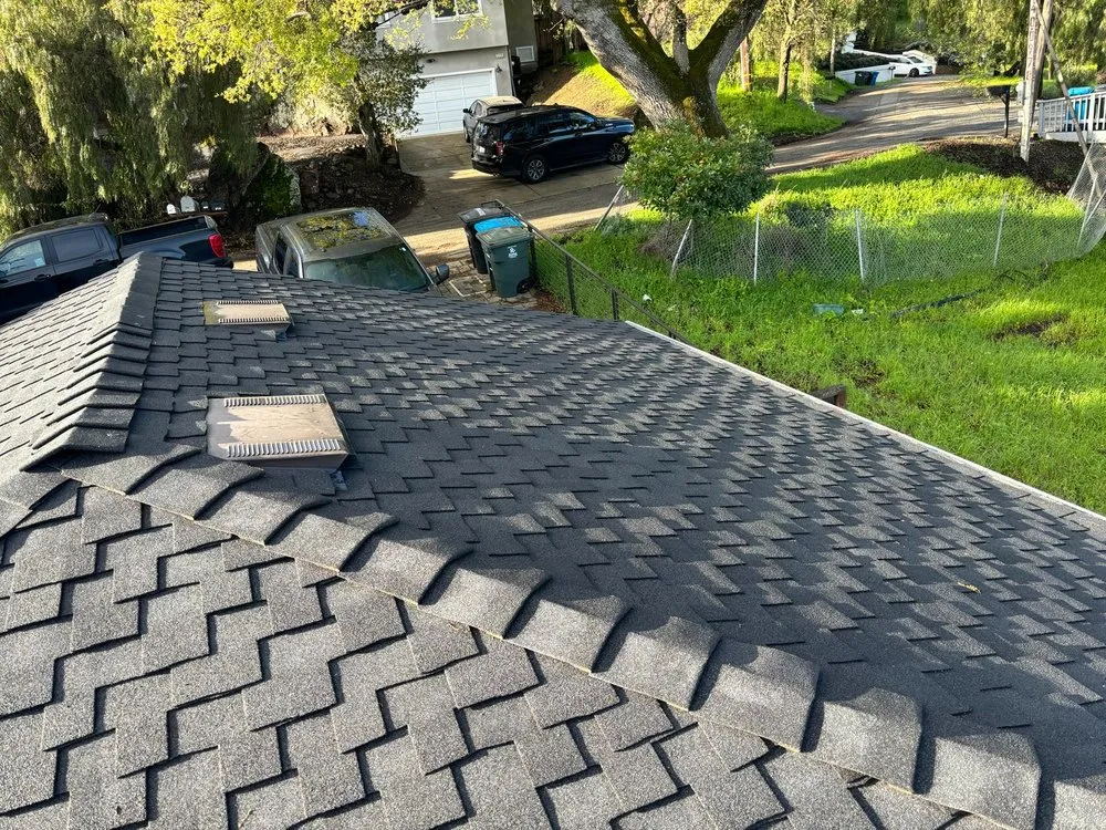 Slide of Roof by Tom