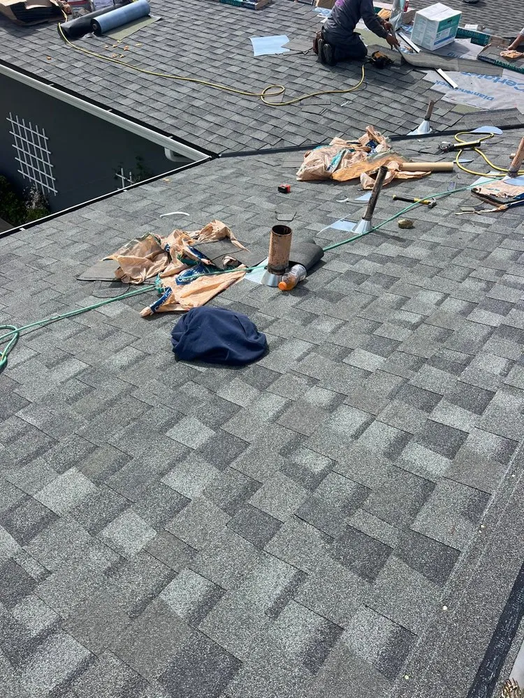 Slide of Roof by Tom