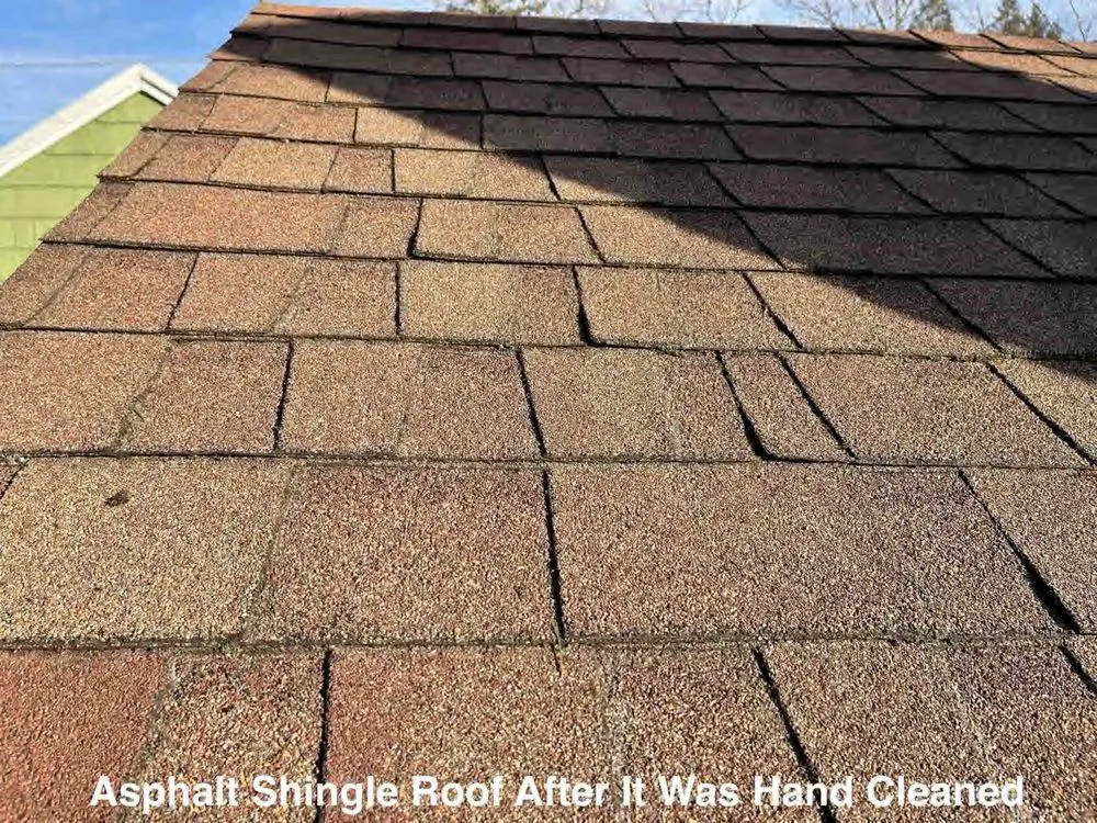 Slide of Roof Clean Care