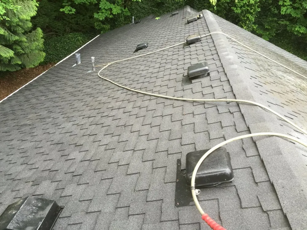 Slide of Roof Clean Care