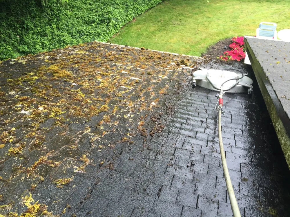 Slide of Roof Clean Care