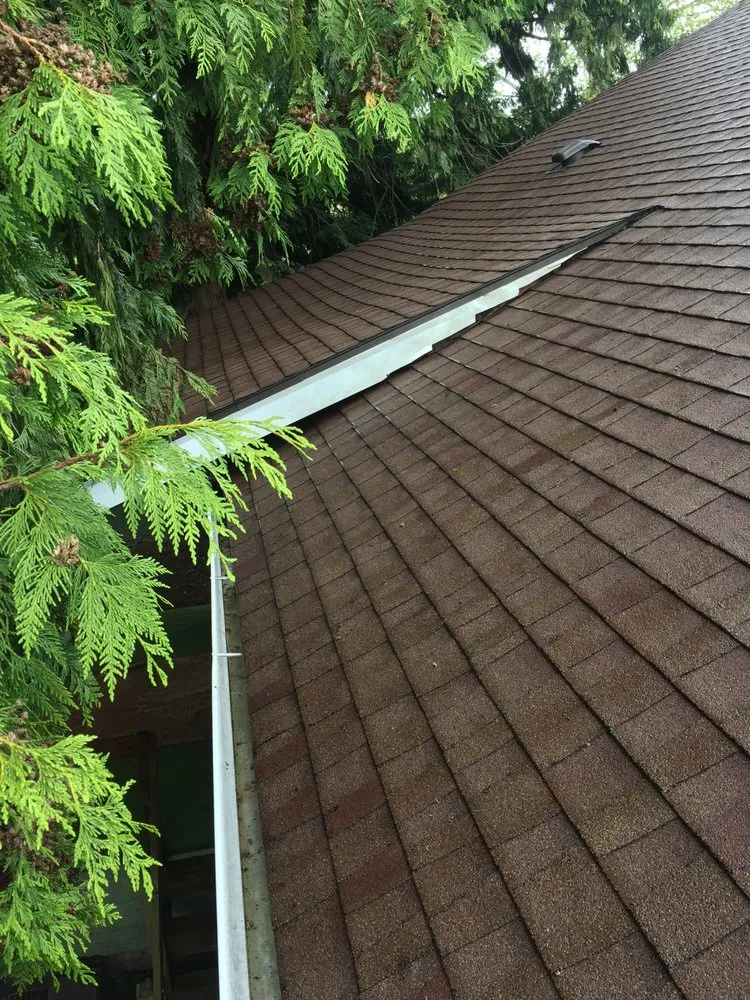 Slide of Roof Clean Care