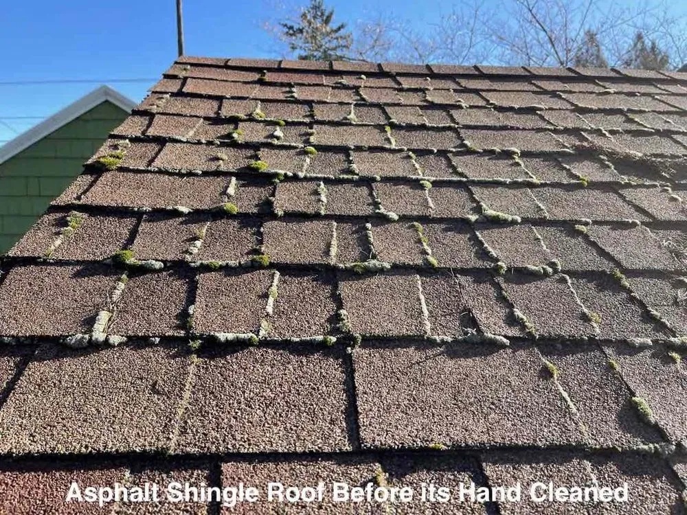 Slide of Roof Clean Care