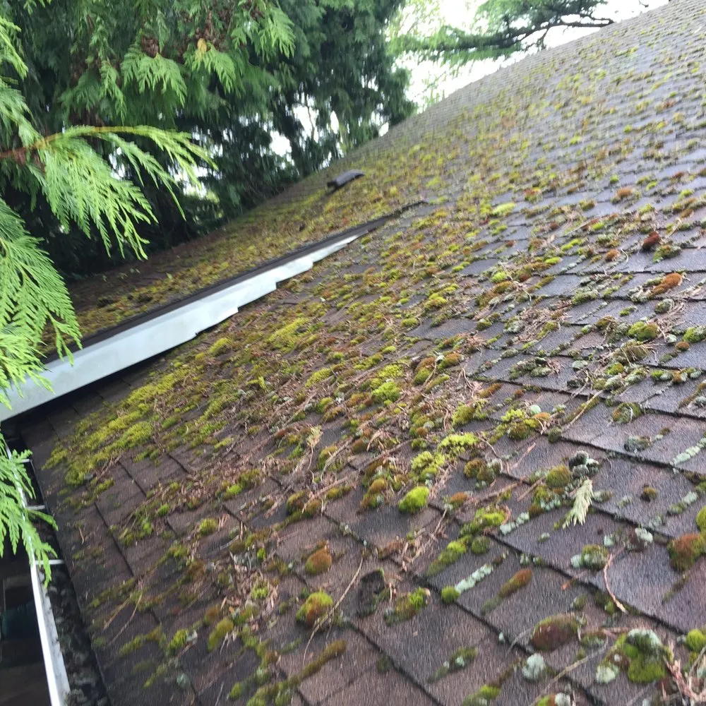 Slide of Roof Clean Care