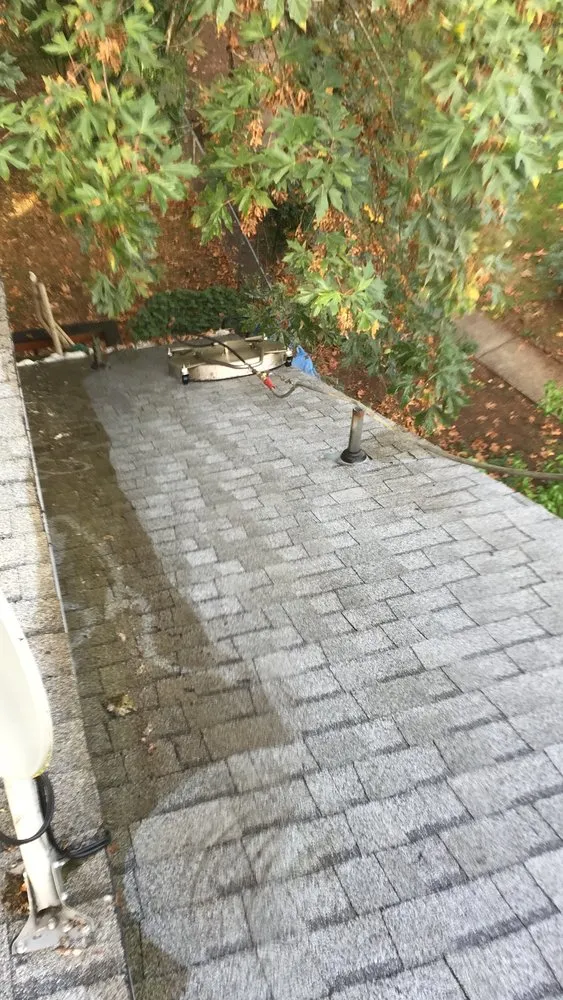 Slide of Roof Clean Care