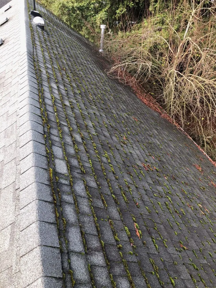 Slide of Roof Clean Care