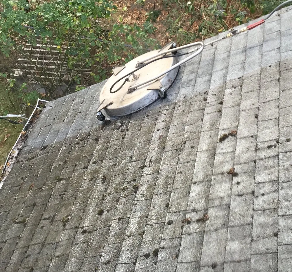 Slide of Roof Clean Care