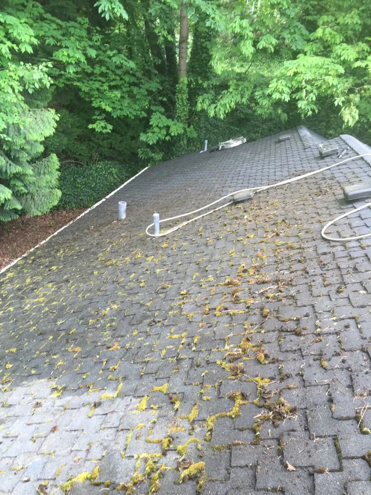 Slide of Roof Clean Care