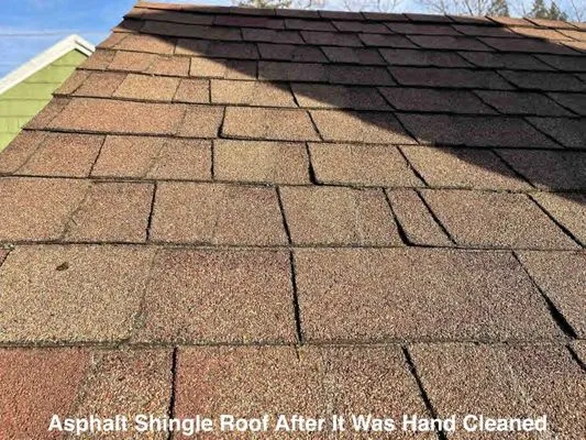 Roof Clean Care