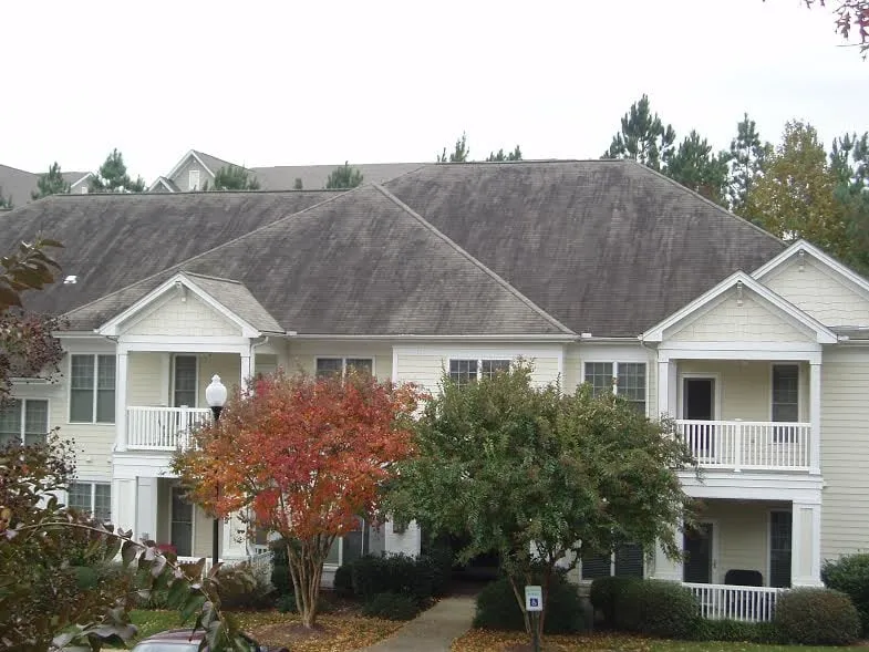 Slide of Roof Cleaner Pros